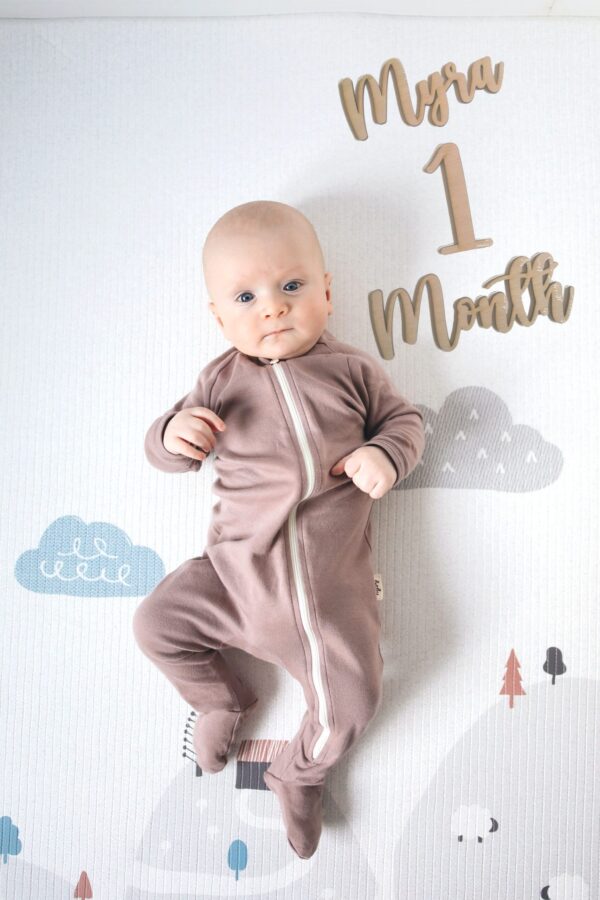 Baby Monthly Milestone Wood Laser Cutouts
