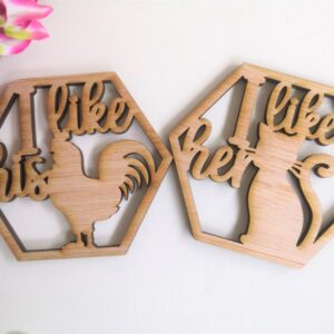I like His../I like her... Cheeky/Naughty Coaster Set