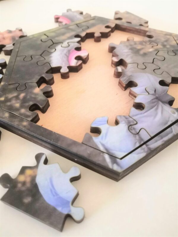 Hexagonal 19 Piece Wooden Photo Puzzle/Jigsaw - Image 7