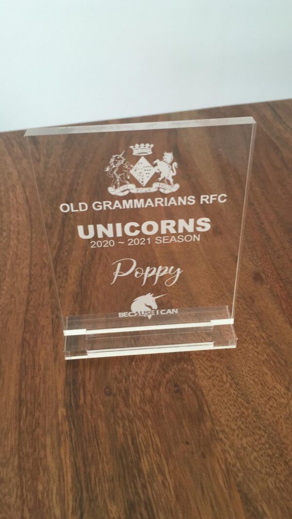 Trophy/ Plaque - Image 3