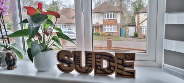 Personalised and Custom Themed Door Sign - Name Plaque - Wooden - Gift - Keepsake - Decor - Wall - Name Plate - Free Standing - Wall - 3D - Image 7